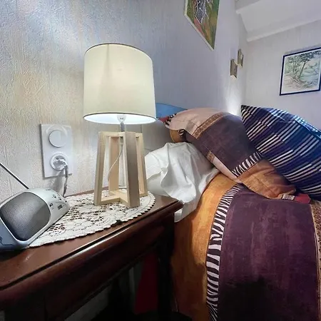 Anatole - Parking Prive - 900m Cite Medievale Villa *